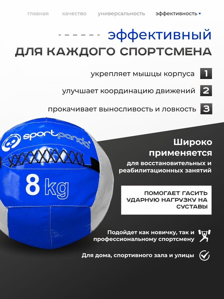 Медбол SportPanda, ПВХ, диаметр 38 см, 8 кг, армированные швы — фото 1