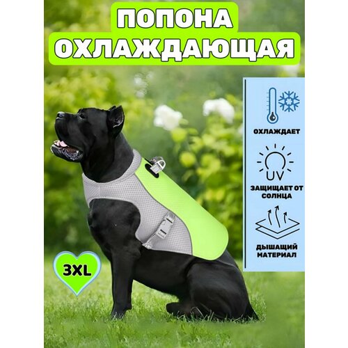 Охлаждающий жилет для собак, зеленый, 3XL