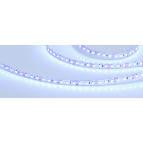 фото Светодиодная лента arlight rt-a120-8mm 12v blue (9.6 w/m, ip20, 5m) (arlight, 9.6 вт/м, ip20), артикул 012330(2)