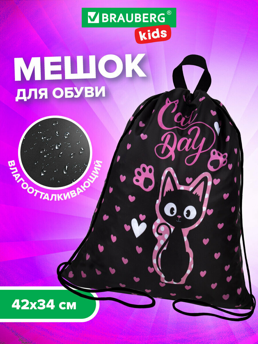 Сумка / мешок / рюкзак для сменной обуви (сменки) Brauberg Kids 1 отделение 42х34 см Amazed Kitty 271629