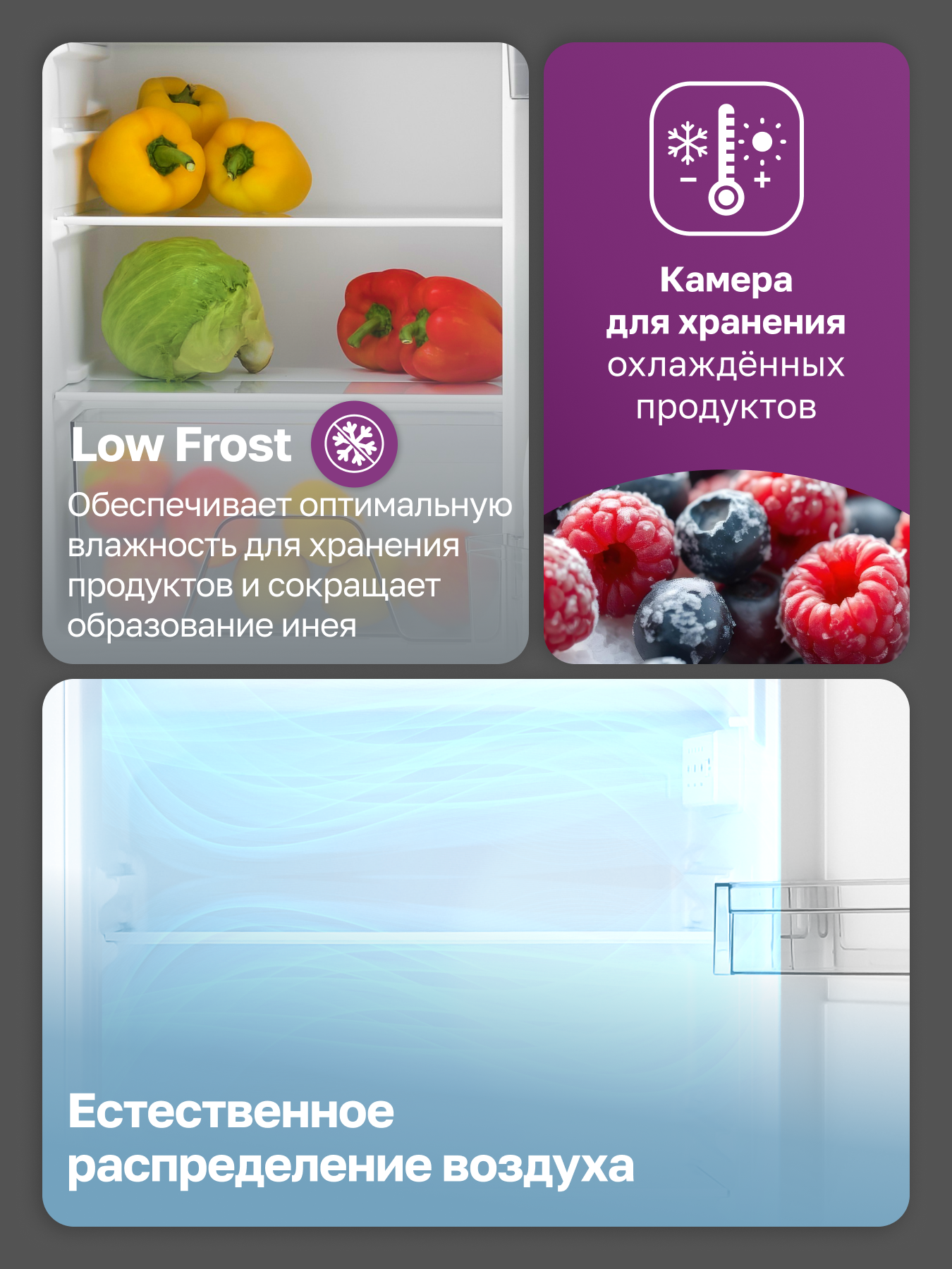 Холодильник отдельностоящий мини GARTZ RSD211W SmartCool, для дома, офиса, дачи, высота 85см, объем 90л, LowFrost, белый — фото 1