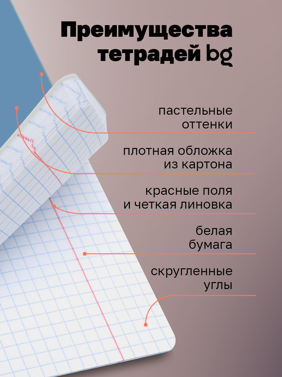 Тетради для школы в клетку 48 листов, 4 штуки, BG "Never-ever", для учебы и контрольных работ — фото 1