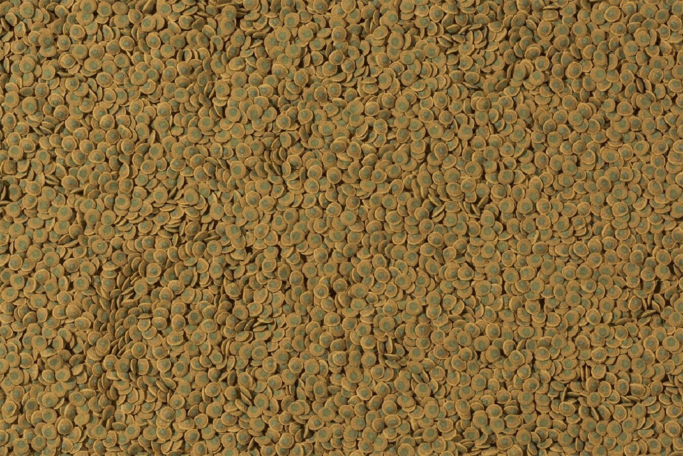 TETRA PLECO SPIRULINA WAFERS корм чипсы для растительноядных донных рыб со спирулиной (100 мл) — фото 1