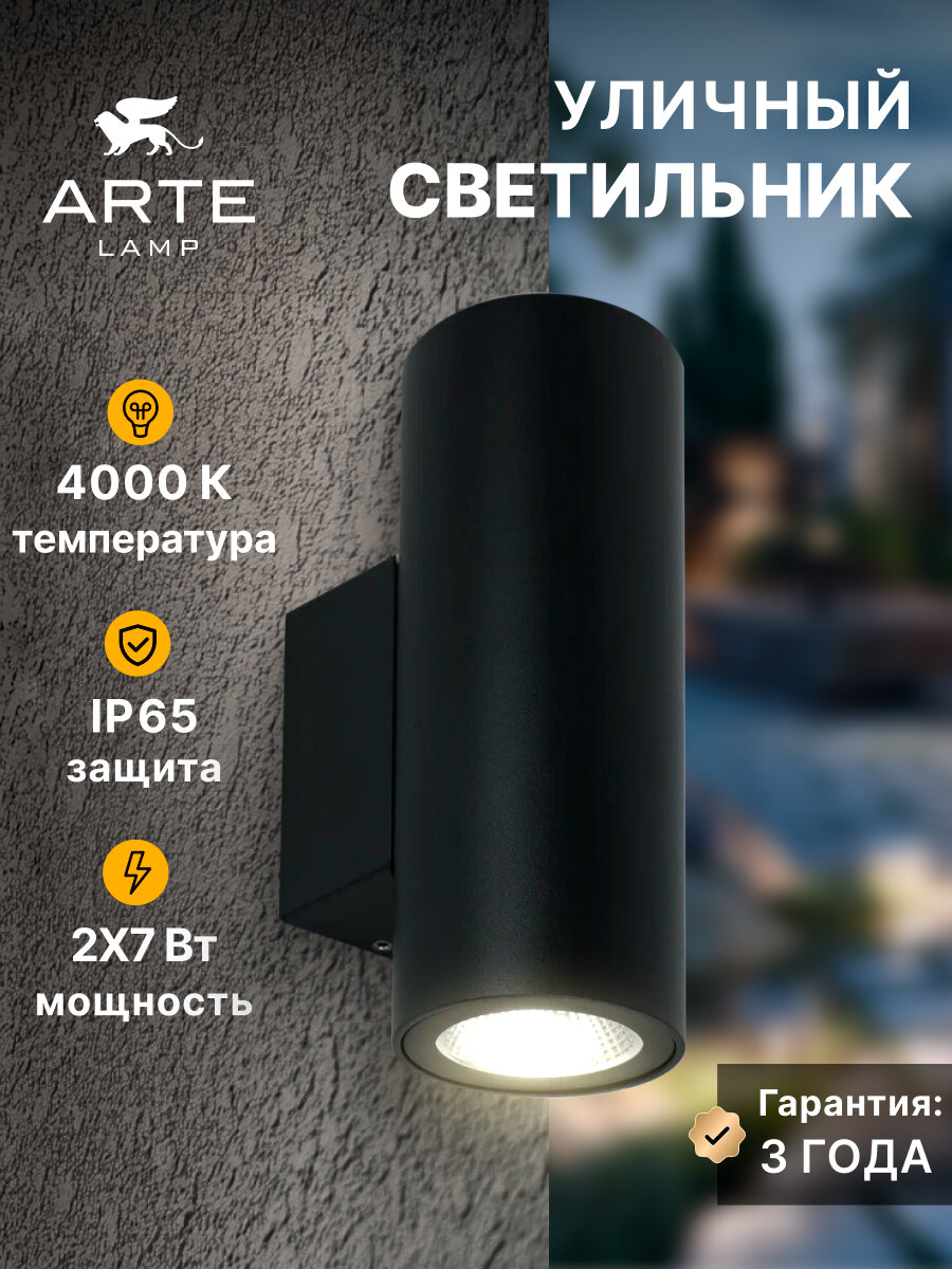 Фасадный светильник Arte Lamp TORCULAR A1807AL-2BK LED чёрный