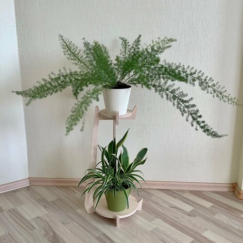 Подставка для цветов Allwood Home, напольная, 2 полки, бесцветная, 65х27х36 см