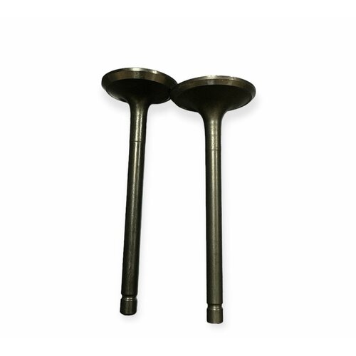 Клапан выпускной и выпускной для двигателя Lifan 20 л с 192F-2T KP460 1000₽