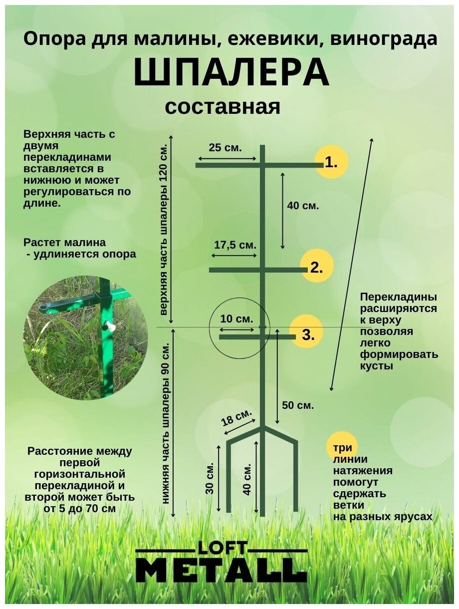 Шпалера для малины, опора для винограда и вьющихся растений - фотография № 7