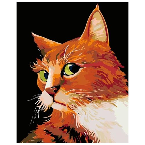 Купить Картина по номерам Рыжий кот , 40x50 см, Живопись по номерам, Картины по номерам и контурам