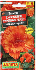 Семена Цветов Бегония "Америгибрид гофрированная", F1, мандарин оранж, пробирка, 5 шт