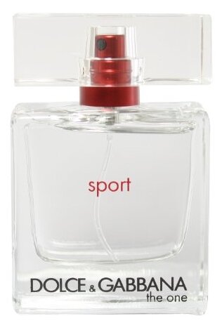 dolce & gabbana the one for men sport