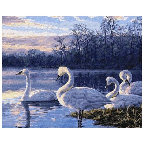 Картина по номерам Пейзаж с лебедями, 40x50 см картина по номерам зима пейзаж с заснеженным лесом 40x50