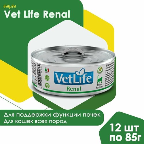 Влажный корм Farmina Vet Life Renal для кошек всех пород при болезни почек и почечной недостаточности, Фармина Вет Лайф лечебный рацион со вкусом курицы, 12шт по 85г farmina вет корма сухой корм для собак при почечной недостаточности vet life 4377 2 кг 39142 2 шт