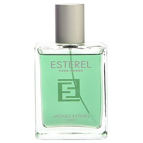 Jacques Esterel туалетная вода Esterel pour Homme, 100 мл