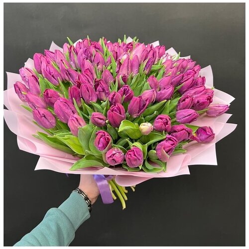 101 Фиолетовый тюльпан