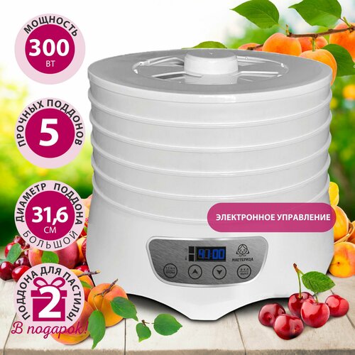 Сушилка для овощей и фруктовдегидратор Мастерица EFD-6001 белая электронное управление 5 белых поддонов 2 поддона для пастилы 300Вт 487000₽