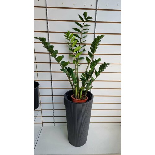 Кашпо пластиковое с системой автополива. Размер 30х30хН57 см.