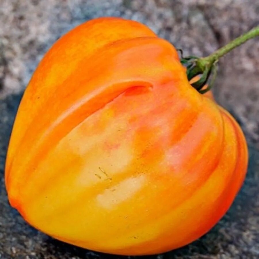 Семена Deodar SEEDS COMPANY Томат Оранжевый русский 10 шт.