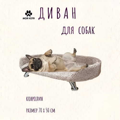 Лежанка для собак Моя Котя на ножках, бежевый ковролин, 70х50х10см
