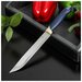 Нож Доляна «Страйп», универсальный, лезвие 15 см, цвет синий