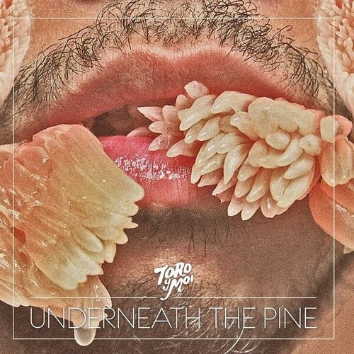 Виниловая пластинка TORO Y MOI - UNDERNEATH THE PINE (LIMITED, COLOUR)