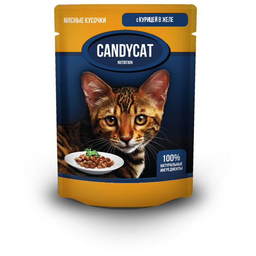 Влажный корм для кошек CandyCat с курицей 48 шт. х 85 г (кусочки в желе) сэндвич freshclub плетенка с курицей 150 г