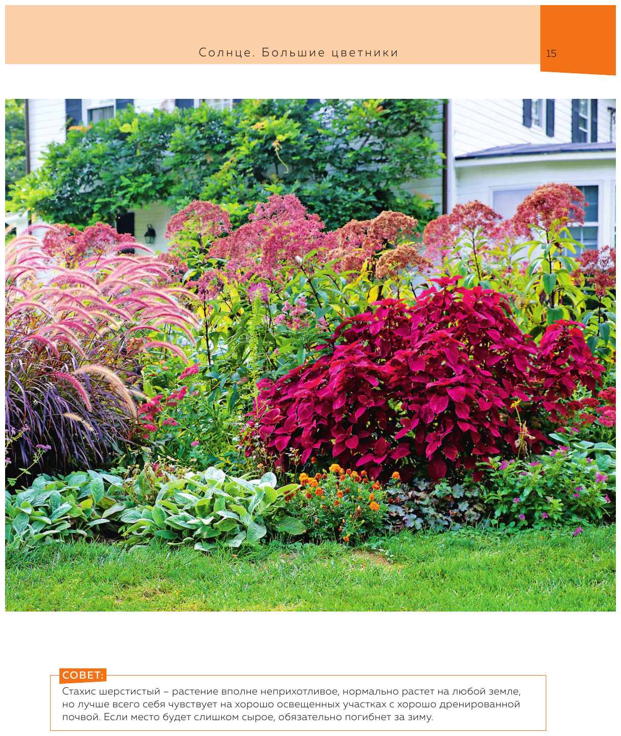 Цветники. 95 простых композиций для любого уголка сада (новое оформление) - фото №18