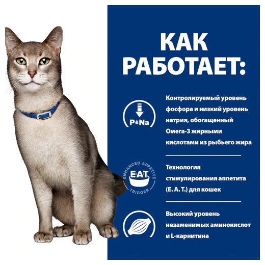 Корм для кошек сухой Хиллс Prescription Diet Kidney Care k/d для взрослых животных при заболевании почек гранулы с курицей 400г / кошачья еда для - фотография № 4