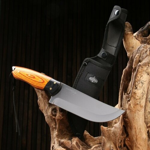Нож охотничий Телец сталь - 40х13, рукоять - дерево, 29 см разделочный нож армагеддон сталь 40х13 рукоять жженый орех клепаный 25 5 см