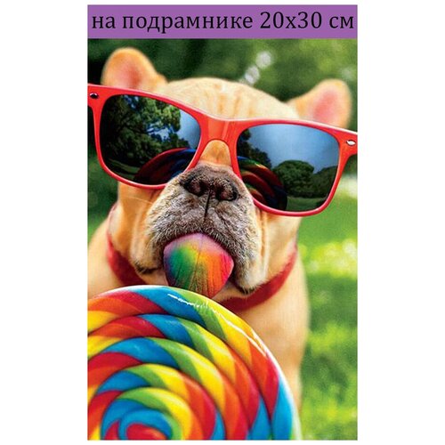 Алмазная мозаика 20х30 на подрамнике собака, алмазная вышивка 20*30, алмазная живопись 30х20, 30*20, Наборы с круглыми стразами, пейзаж