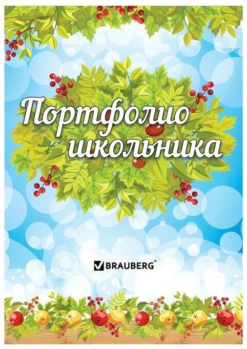 Портфолио школьника, 16 листов: титульный лист, содержание, 14 разделов "Окружающий мир"