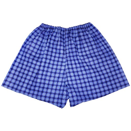 фото Трусы макстекс, размер 50, фиолетовый