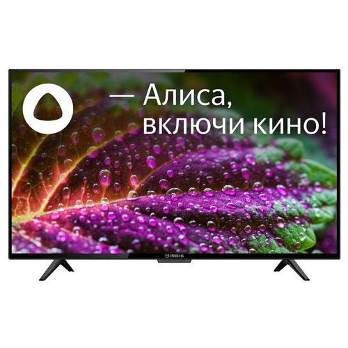 Телевизор IRBIS 43F1YDX123BS2 Яндекс ТВ 43 DLED FULL HD черный 2498300₽
