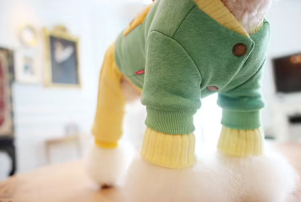 Костюм "Игрушка" для собак, для кошек Nicovaer (Зеленый, XL) - фотография № 3