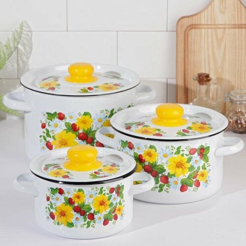 Набор кастрюль Земляника 3 предмета 15 л 29 л 45 л эмалированные крышки индукция цвет белый 3954₽