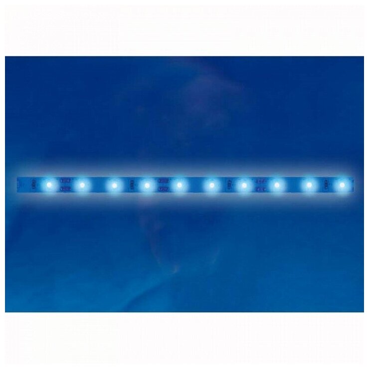 Светодиодная лента Uniel ULS-2835-60LED/m-10mm-IP67-220V-8W/m-50M-BLUE, 50 м, 400 Вт, синий, 6500 К - фотография № 3