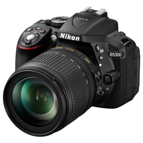 Фотоаппарат Nikon D5300 Kit AF-P 18-55mm f/3.5-5.6 VR, черный