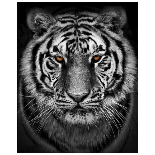 Картина на стекле Амурский тигр 40х50 см