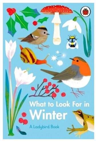 What to Look For in Winter (Jenner Elizabeth) - фото №1