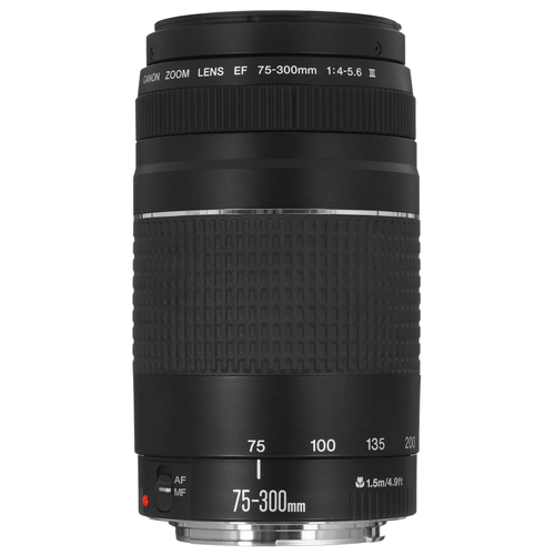Canon EF 75-300 мм f4-56 III бюджетный телеобъектив автоматическая фокусировка 16600₽