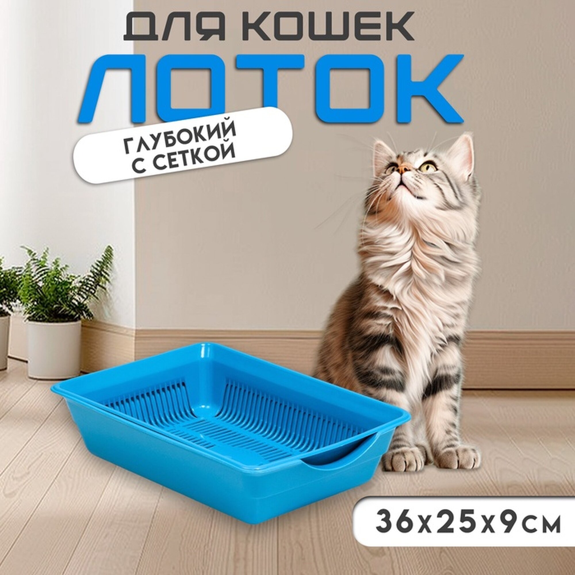 Туалет для кошек Сима-ленд, пластик, с сеткой, голубой, 36x25x9 см