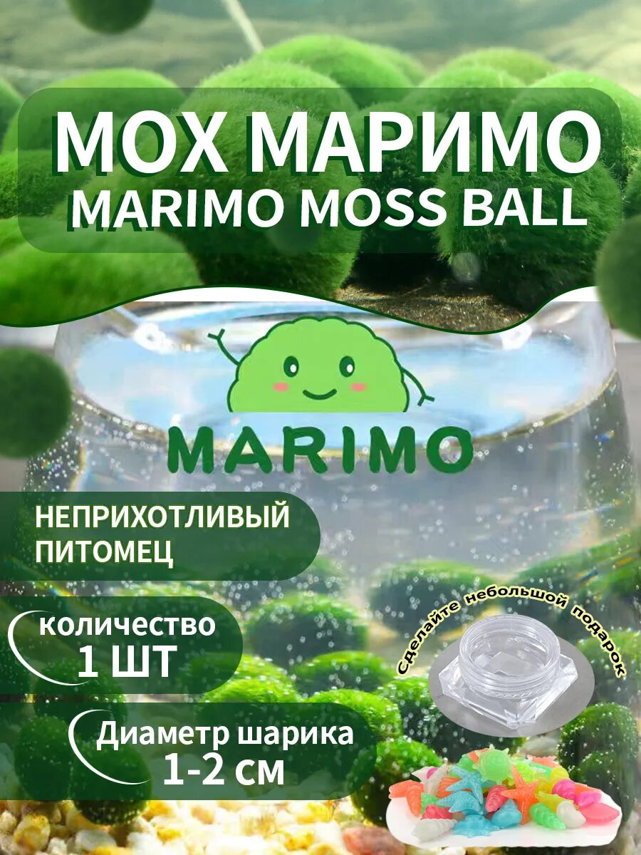 Маримо водоросли