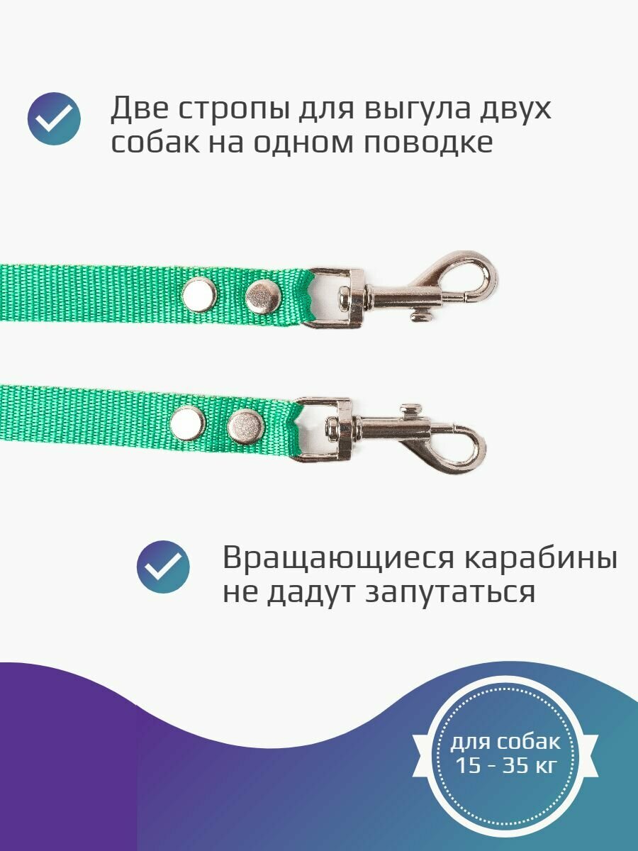 Сворка Хвостатыч для двух собак нейлон 70 см х 20 мм (бирюзовый) — фото 1