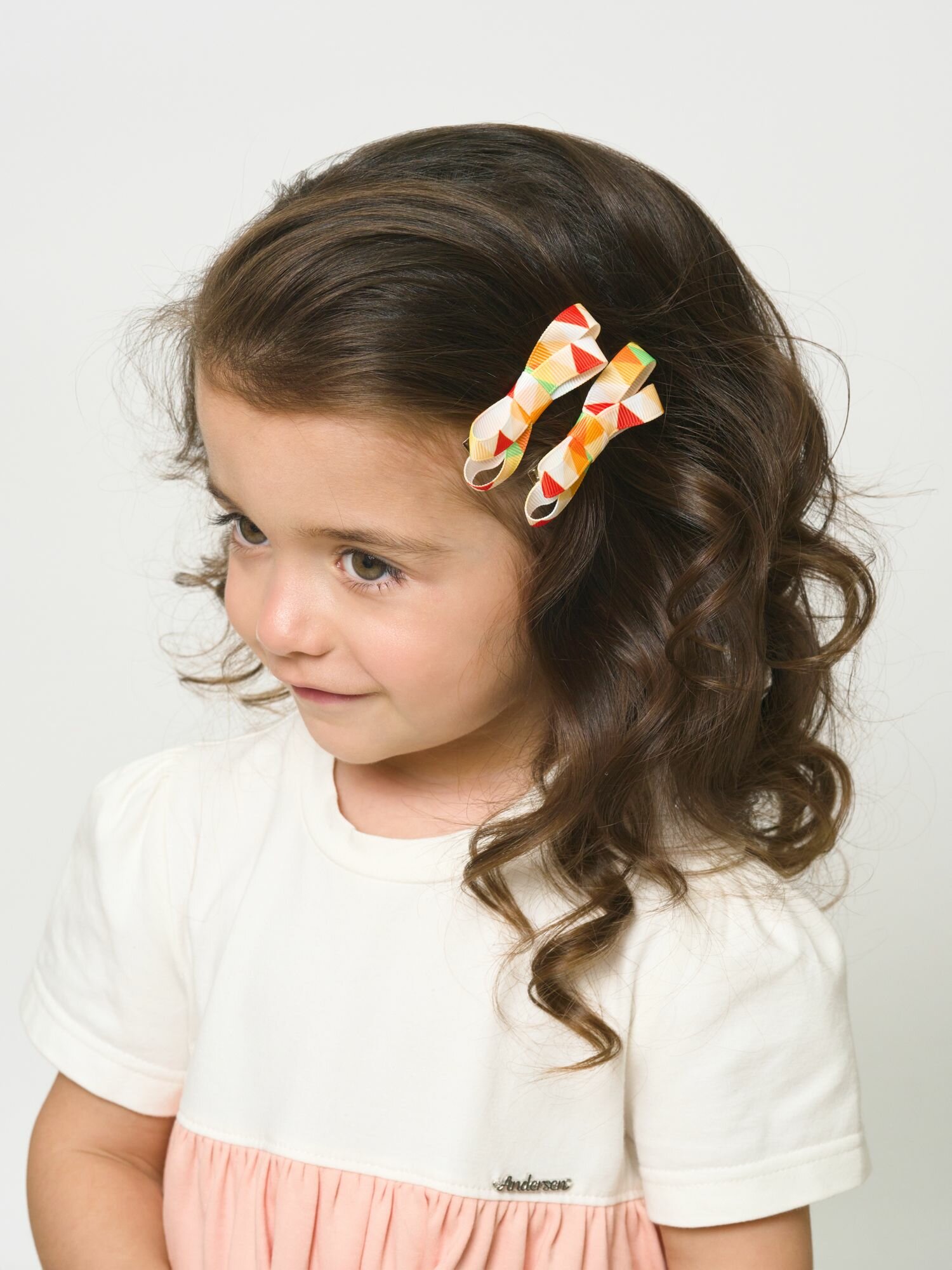 Заколка малая 2 шт Андерсен Нил — фото 1