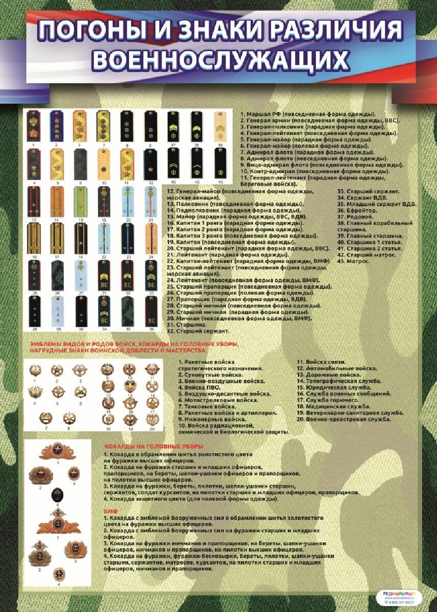 Плакат Погоны и знаки различий РФ