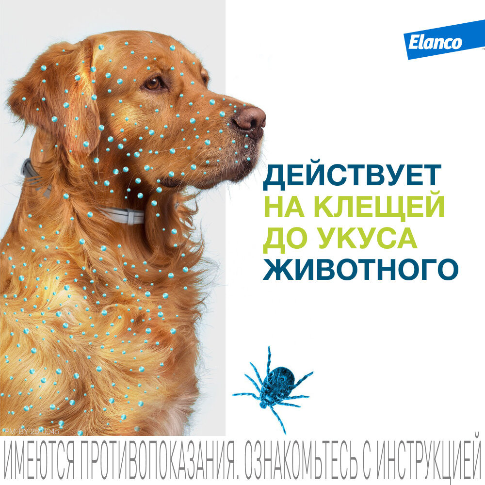 Ошейник Форесто (Elanco) от клещей и блох для собак более 8 кг — фото 1