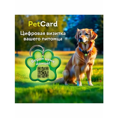 Адресник для собак и кошек PetCard с QR кодом и NFC, зеленый