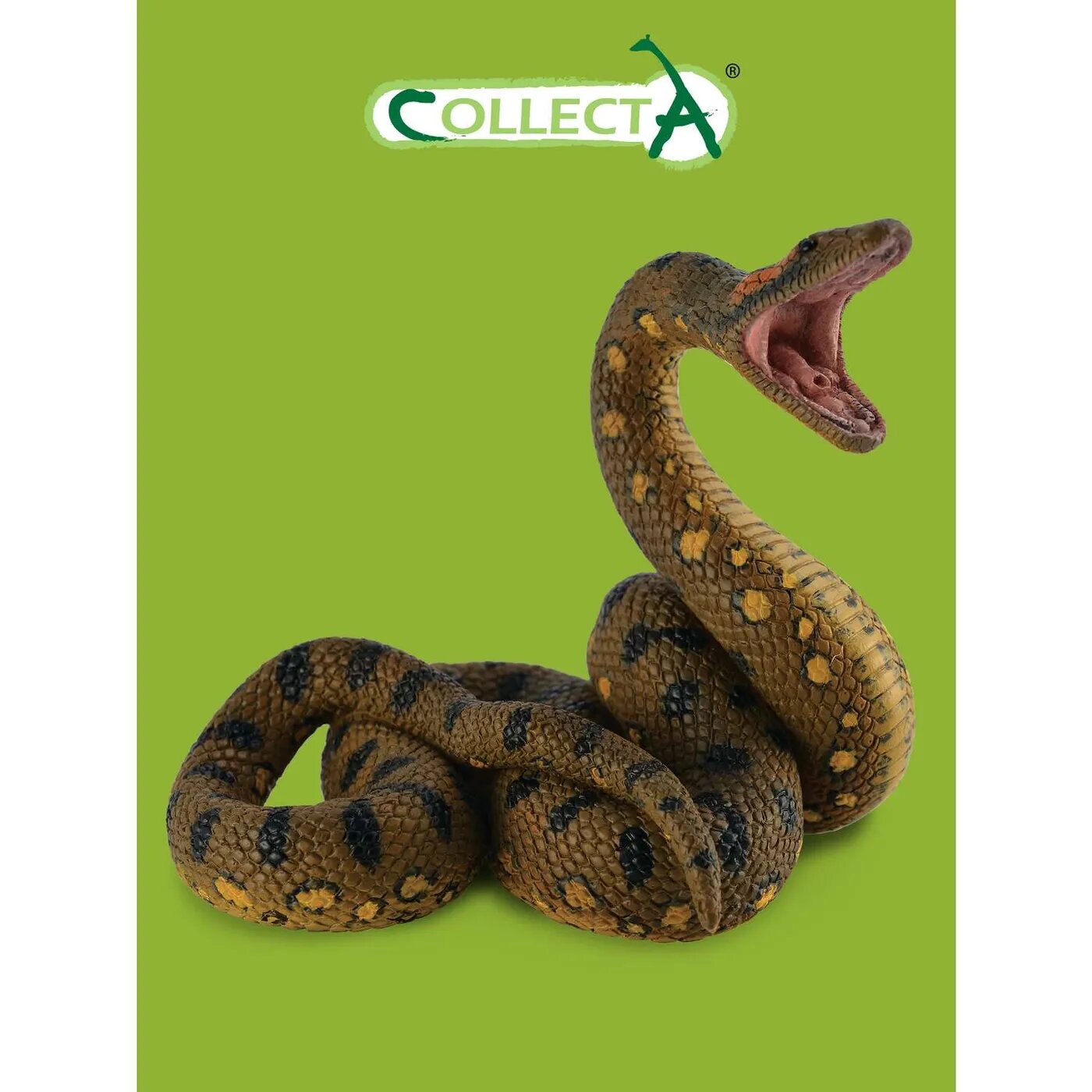 Collecta - фото №14