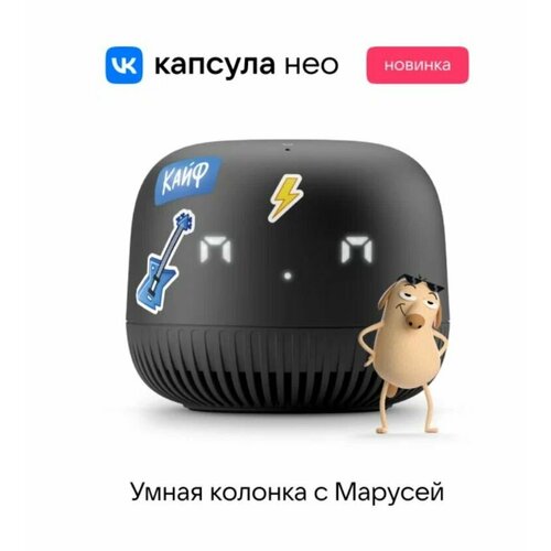 Умная колонка VK Капсула Нео с голосовым помощником Марусей черная черный
