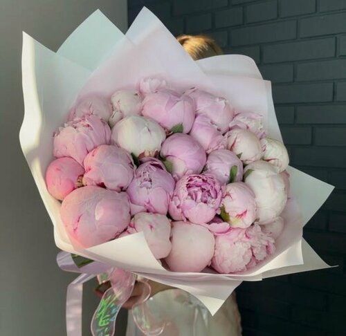 Изображение товара Пионы розовые Сара Бернар (Sarah Bernhardt / Сара Бернард), 25 штук, монобукет (межсезонная Голландия)