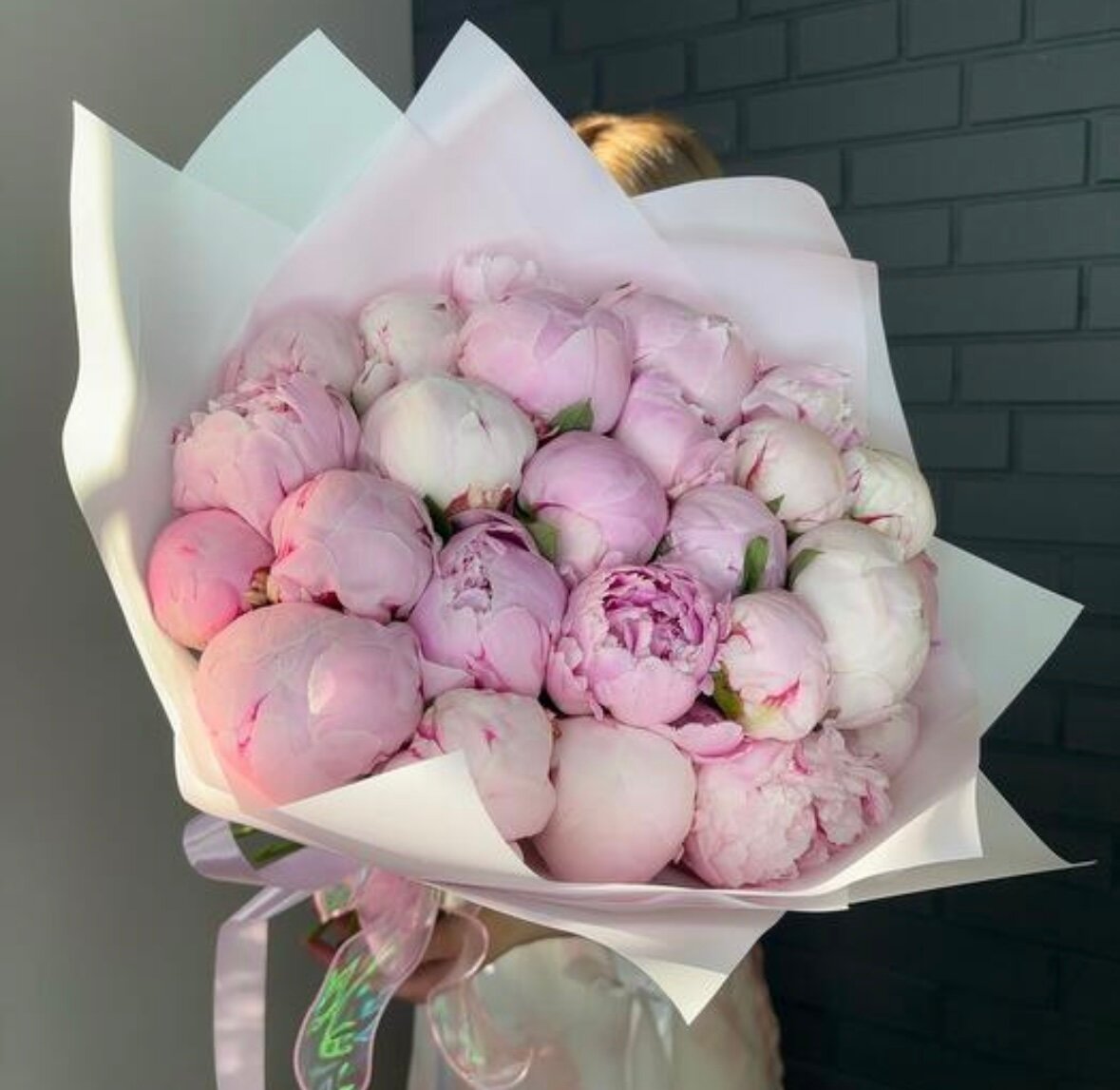 Пионы розовые Сара Бернар (Sarah Bernhardt / Сара Бернард) 25 штук монобукет (межсезонная Голландия)